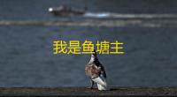我是鱼塘主